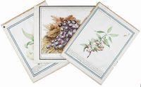 Lotto composto di 3 disegni su carte sciolte. Persica e uva; Persica hyemalis; Cerasa sylvestris.