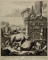 Avanzi dell'antichissimo e magnifico Anfiteatro vicino alla città di Pozzuolo. Da Gaetano Magri (notizie 1768-1784).