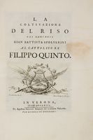 La coltivazione del riso.