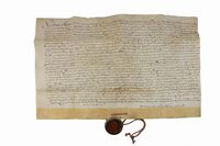 Documento pergamenaceo relativo alla Diocesi di Lucca.