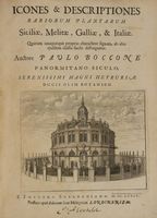 Icones & descriptiones rariorum plantarum Siciliae, Melitae, Galliae, & Italiae...