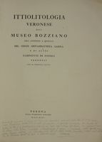 Ittiolitologia veronese del museo Bozziano...