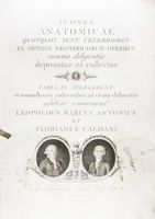 Icones anatomicae quotquot sunt celebriores ex optimis neotericorum operibus summa diligentia depromptae et collectae... (-Volumins tertii sectio altera).