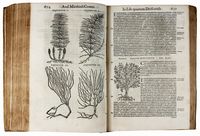 Commentarii in sex libros Pedacii Dioscoridis Anazarbei de Medica materia [...] Adiectis plantarum, & animalium Iconibus, supra priores editiones longe pluribus...