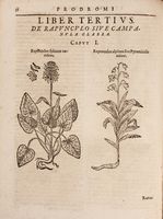 Prodromos theatri botanici in quo plantae supra sexcentae ab ipso primum descriptae cum plurimis figuris proponuntur.