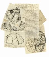 Lettera autografa firmata inviata al matematico Vittorio Francesco Stancari. Con alcuni disegni anatomici compilati dall'autore.