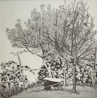 19604.jpg