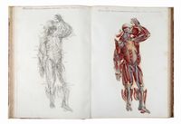 Anatomia universale [...] rappresentata con tavole in rame ridotte a minori forme di quelle della grande edizione pisana per Antonio Serantoni...