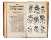 Dendrographias sive Historiae naturalis de arboribus et fruticibus tam nostri quam peregrini orbis libri decem...