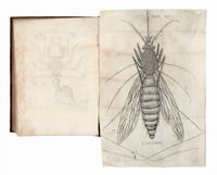 Esperienze intorno alla generazione degl'insetti fatte [...] e da lui scritte in una lettera all'Illustrissimo Carlo Dati.