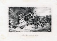 Jeune tigre jouant avec sa mre.