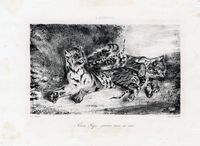 Jeune tigre jouant avec sa mère.