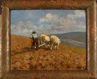 Contadino e buoni nel campo.