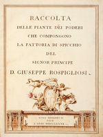 Raccolta delle piante dei poderi che compongono la fattoria di Spicchio del signor principe D. Giuseppe Rospigliosi.
