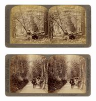 Raccolta di 20 fotografie stereoscopiche della Underwood & Underwood Publishers.