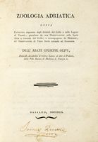 Zoologia Adriatica. Ossia catalogo ragionato degli animali del Golfo e delle Lagune di Venezia...