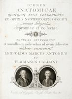 Icones anatomicae quotquot sunt celebriores ex optimis neotericorum operibus summa diligentia depromptae et collectae... (-Volumins tertii sectio altera).