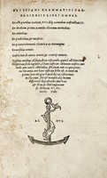 Libri omnes. De octo partibus orationis, XVI deque earundem constructione II. De duodecim primis Aeneidos librorum carminibus. De accentibus. De ponderibus, & mensuris...