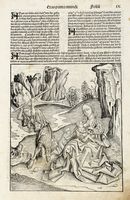 Ventitre pagine illustrate da Liber Chronicarum.