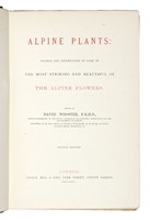 Alpine plants. Figures and descriptions of some of the most striking and beautiful of the Alpine flowers. Second edition (-second series).