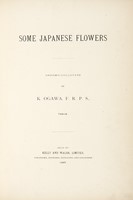 Some Japanese flowers.