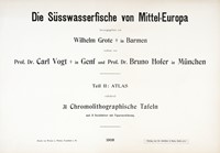 Die Ssswasserfische von Mittel-Europa.