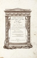 Storia naturale delle scimie e dei maki [...] dietro le scoperte dei pi rinomati naturalisti.