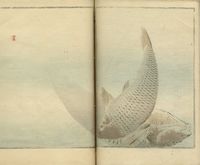 Seitei kacho gafu (Manuale di uccelli e fiori di Seitei).