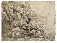 Giovane pastore su mulo con un gregge.