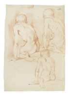 Studi anatomici.