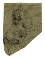 Studio per testa di putto.