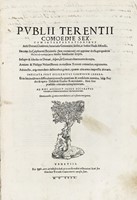 36871.jpg