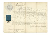 37173.jpg