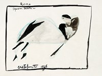 40421.jpg