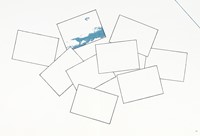 41021.jpg