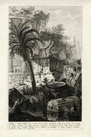 41751.jpg
