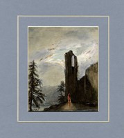 41785.jpg