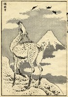 41805.jpg
