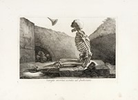 41853.jpg