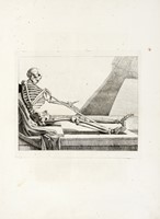 41856.jpg