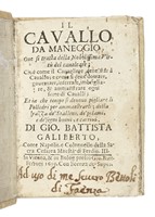 41902.jpg
