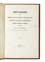 42236.jpg