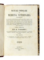 42240.jpg