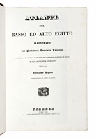 42450.jpg
