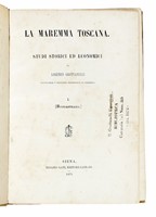 43027.jpg