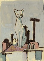 Il gatto.