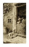 Il cane e l'asino.
