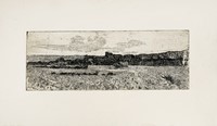 43589.jpg