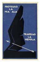 43622.jpg