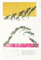 Photographs of a jumping frog.